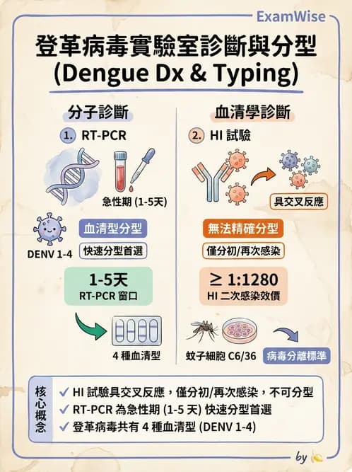 醫檢師 - 黃病毒科與蟲媒病毒 - AI 圖文解析預覽
