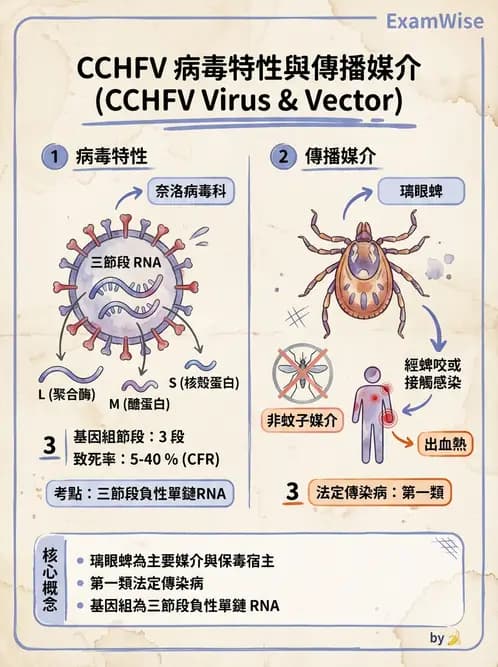 醫檢師 - 其他RNA病毒 - AI 圖文解析預覽