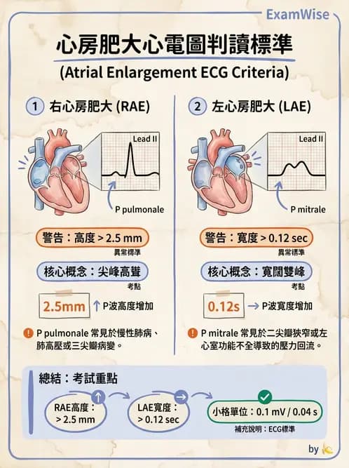 醫檢師 - 心肌病變與特殊心電圖 - AI 圖文解析預覽