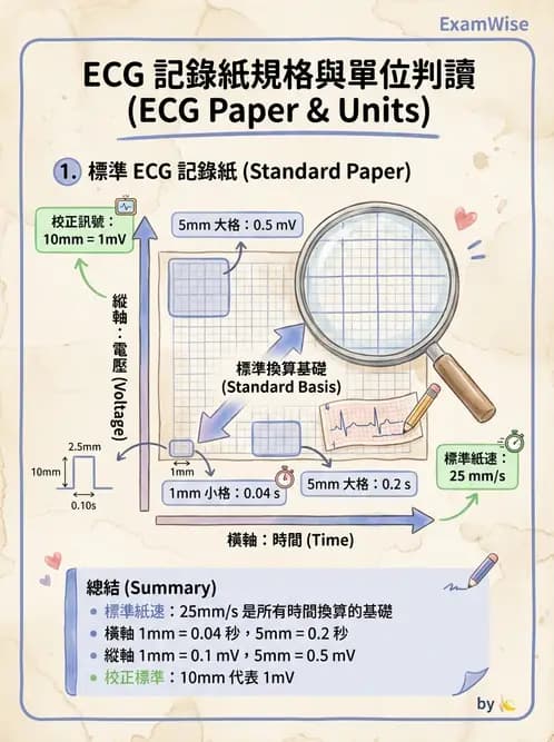 醫檢師 - 心電圖基礎與判讀 - AI 圖文解析預覽