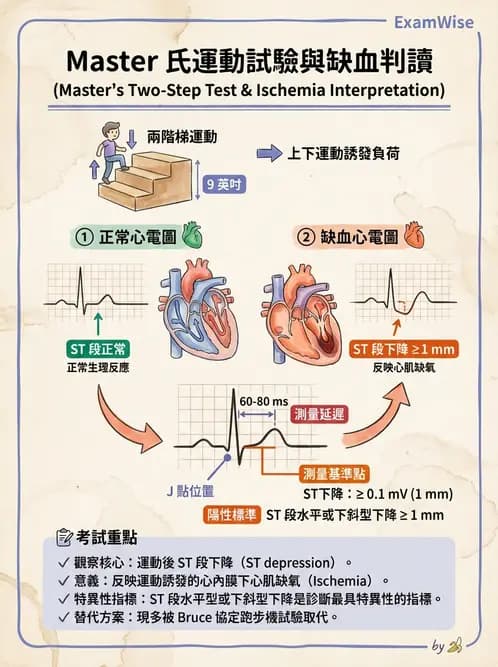 醫檢師 - 心肌病變與特殊心電圖 - AI 圖文解析預覽