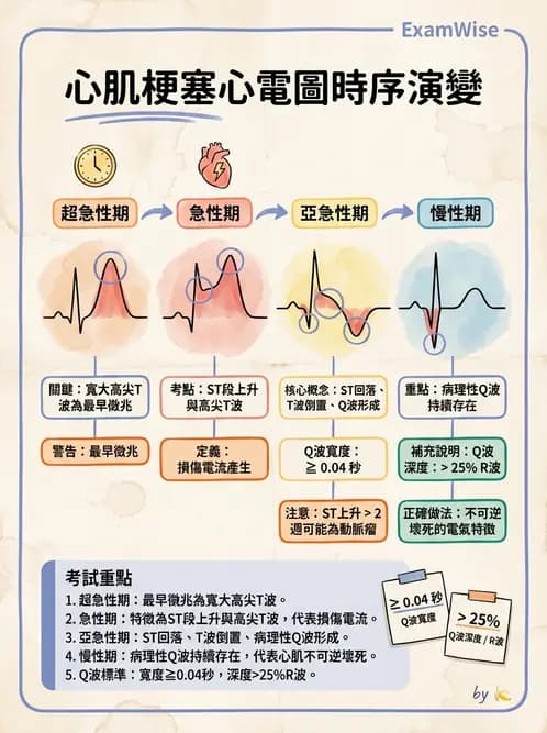 醫檢師 - 心肌病變與特殊心電圖 - AI 圖文解析預覽
