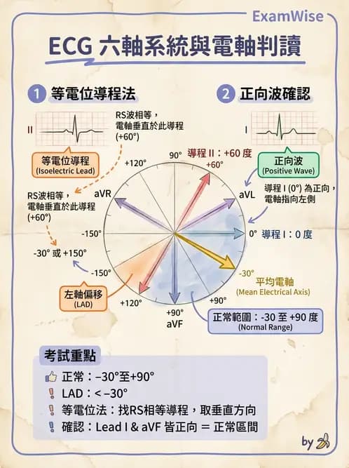 醫檢師 - 心電圖基礎與判讀 - AI 圖文解析預覽