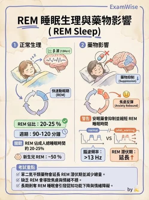 醫檢師 - 神經肌肉與睡眠檢查 - AI 圖文解析預覽