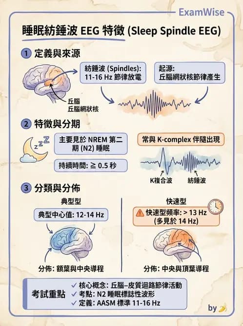 醫檢師 - 神經肌肉與睡眠檢查 - AI 圖文解析預覽