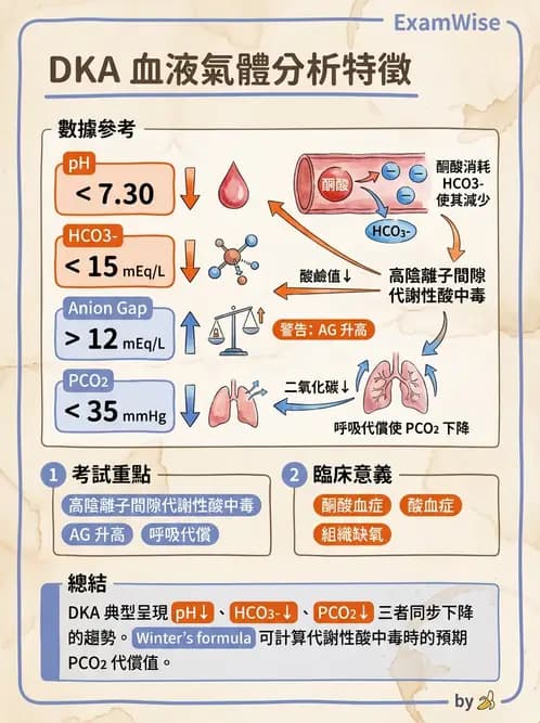 醫檢師 - 血液氣體分析 - AI 圖文解析預覽