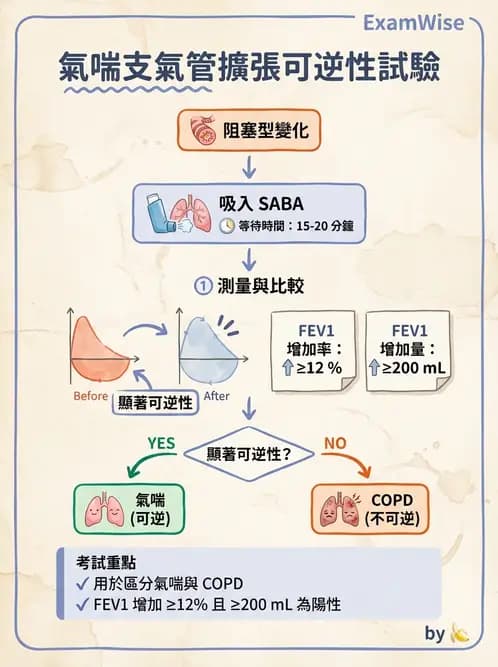 醫檢師 - 肺功能判讀與氣體交換 - AI 圖文解析預覽