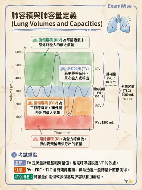 醫檢師 - 肺功能基礎與指標 - AI 圖文解析預覽