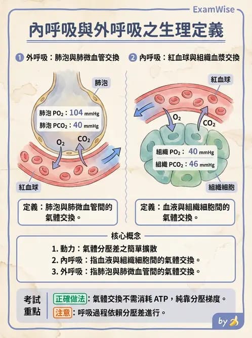 醫檢師 - 肺功能判讀與氣體交換 - AI 圖文解析預覽