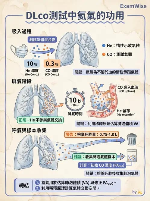 醫檢師 - 肺功能判讀與氣體交換 - AI 圖文解析預覽