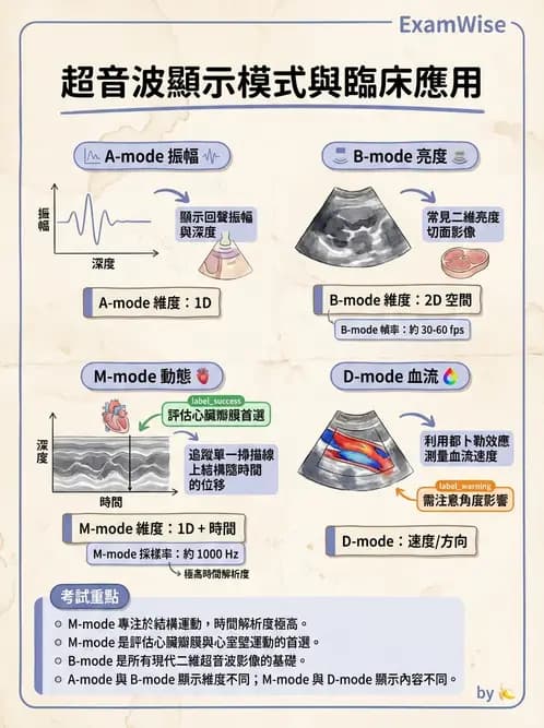 醫檢師 - 超音波檢查 - AI 圖文解析預覽