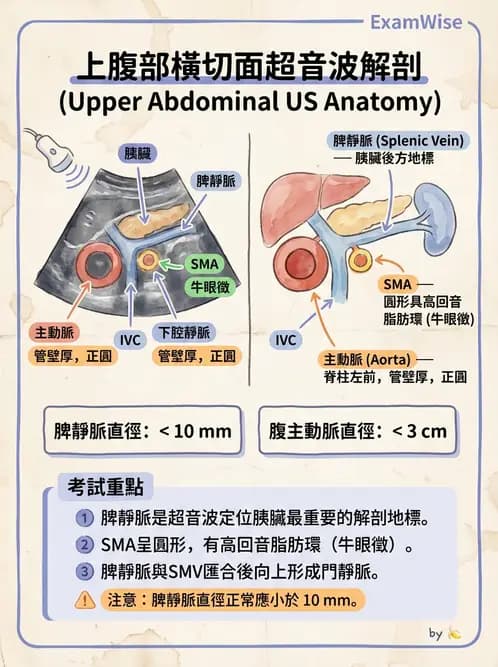 醫檢師 - 超音波檢查 - AI 圖文解析預覽