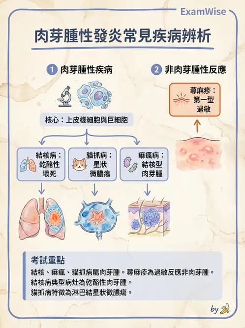 醫檢師 - 細胞傷害、發炎與修復 - AI 圖文解析預覽