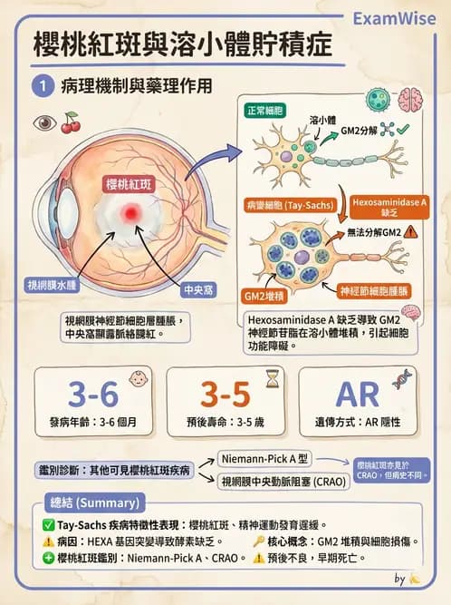 醫檢師 - 遺傳和發育疾病 - AI 圖文解析預覽