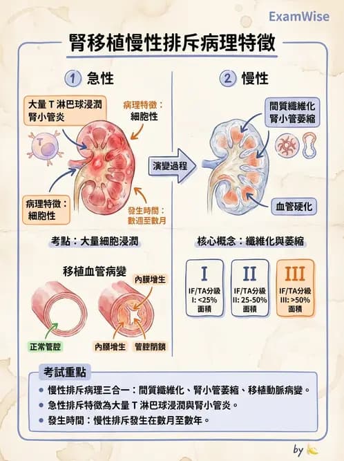 醫檢師 - 免疫疾病 - AI 圖文解析預覽