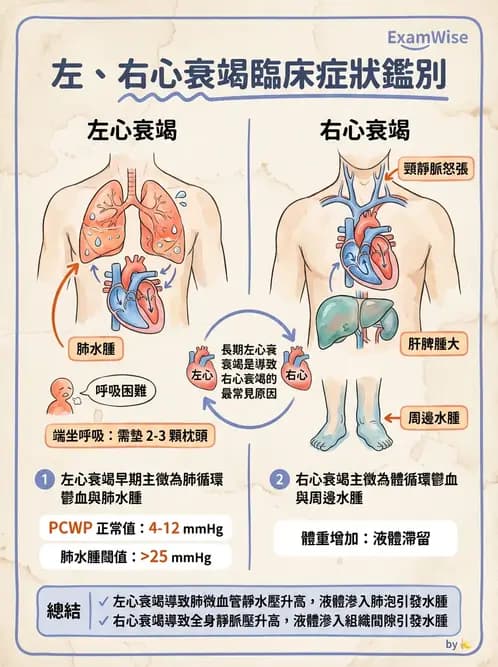 醫檢師 - 心血管疾病 - AI 圖文解析預覽