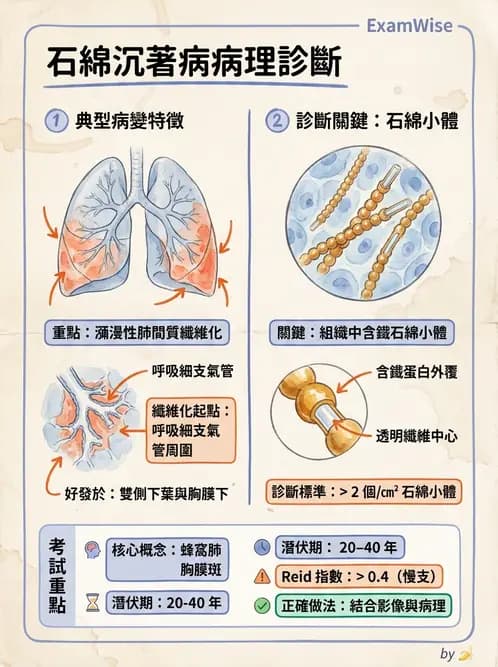 醫檢師 - 呼吸系統疾病 - AI 圖文解析預覽