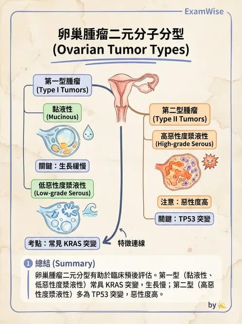 醫檢師 - 乳房及女性生殖疾病 - AI 圖文解析預覽