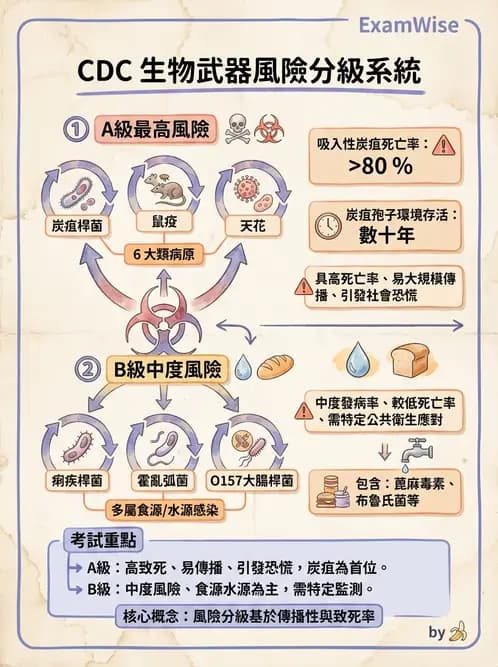 醫檢師 - 感染 - AI 圖文解析預覽