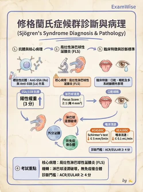 醫檢師 - 免疫疾病 - AI 圖文解析預覽