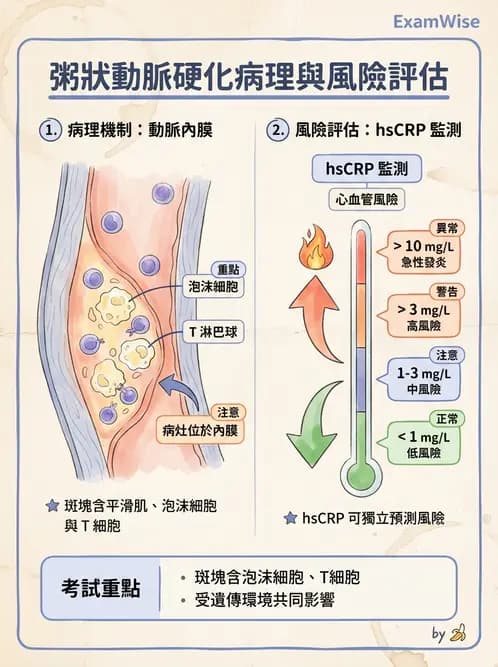 醫檢師 - 心血管疾病 - AI 圖文解析預覽