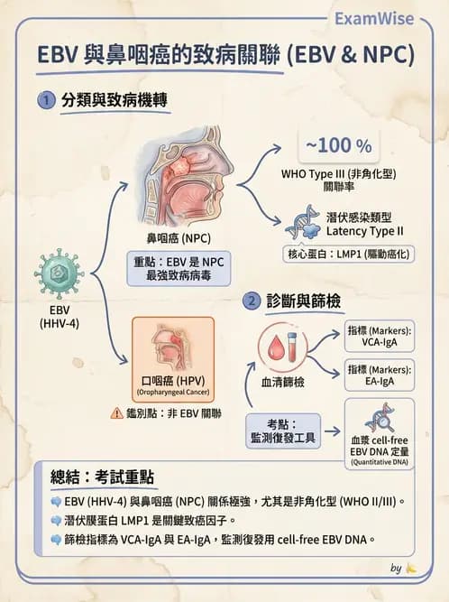 醫檢師 - 腫瘤概論 - AI 圖文解析預覽