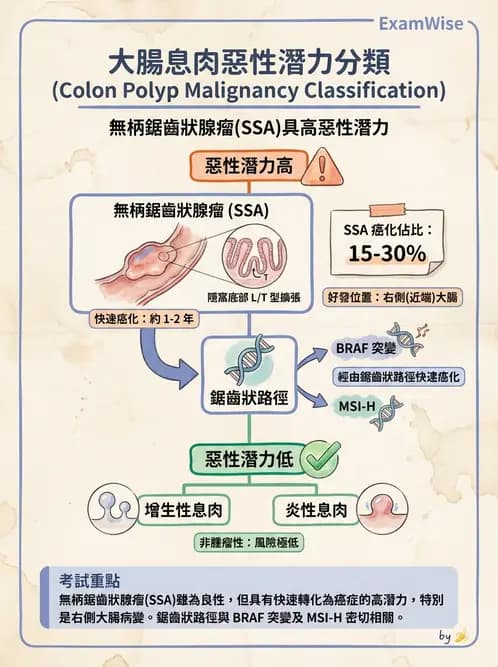 醫檢師 - 消化肝膽疾病 - AI 圖文解析預覽