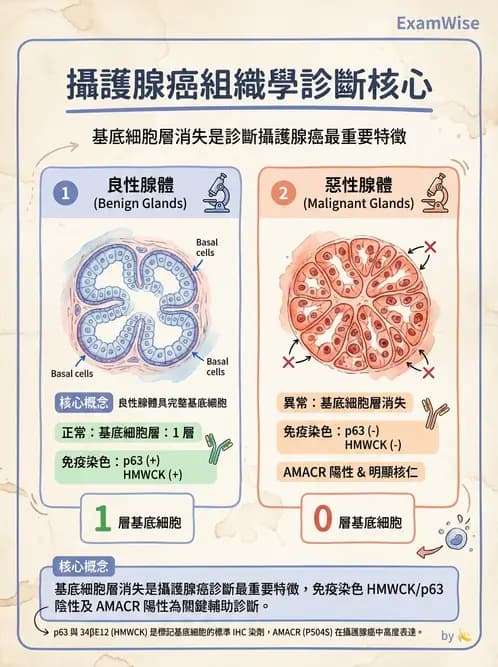 醫檢師 - 腎臟泌尿及男性生殖疾病 - AI 圖文解析預覽