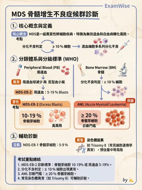 醫檢師 - 慢性血液腫瘤與骨髓增生疾患 - AI 圖文解析預覽