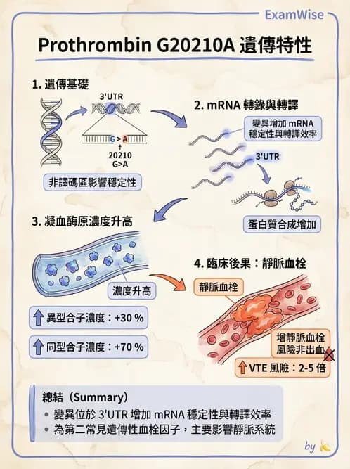 醫檢師 - 血栓性疾病與抗凝治療監測 - AI 圖文解析預覽