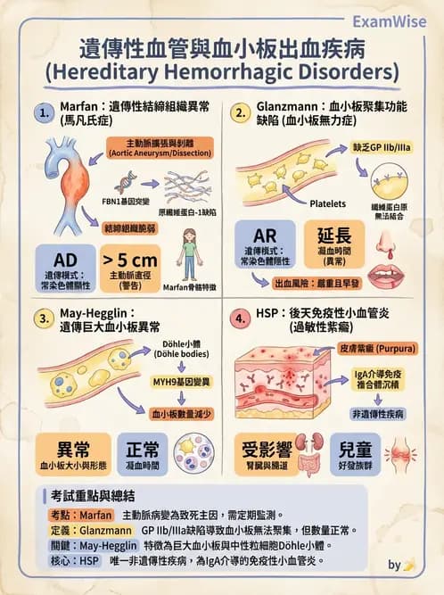 醫檢師 - 出血性疾病與檢驗 - AI 圖文解析預覽