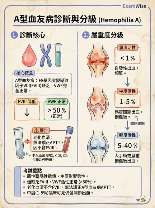 醫檢師 - 出血性疾病與檢驗 - AI 圖文解析預覽
