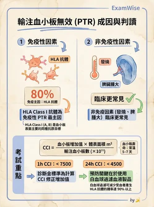 醫檢師 - 輸血反應與血庫品管 - AI 圖文解析預覽