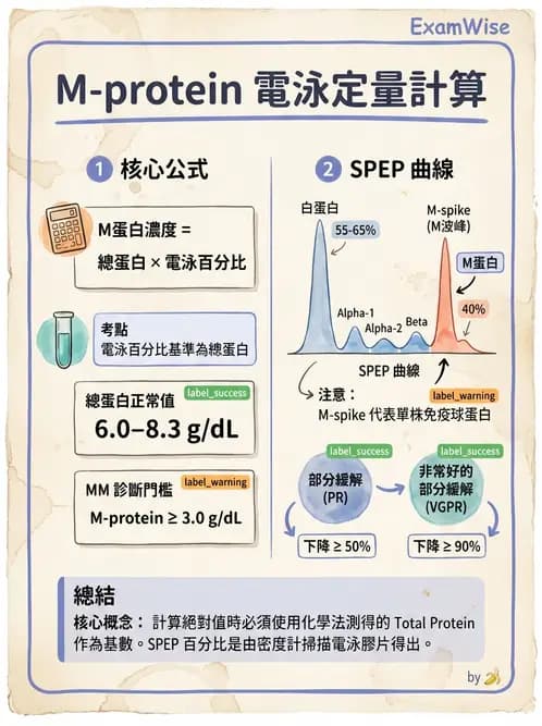 醫檢師 - 淋巴瘤、漿細胞疾病與白血球異常 - AI 圖文解析預覽