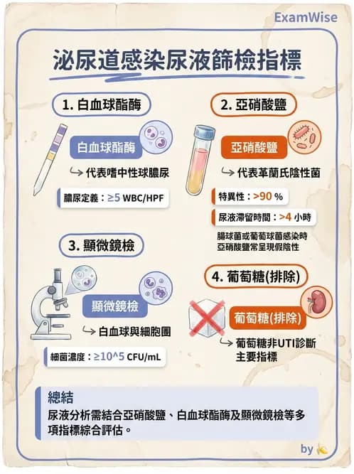 醫檢師 - 尿液化學檢驗 - AI 圖文解析預覽