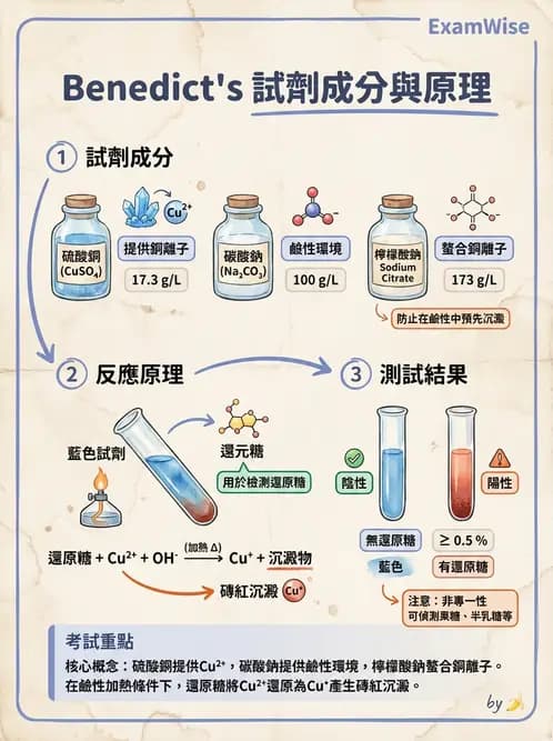 醫檢師 - 尿液化學檢驗 - AI 圖文解析預覽