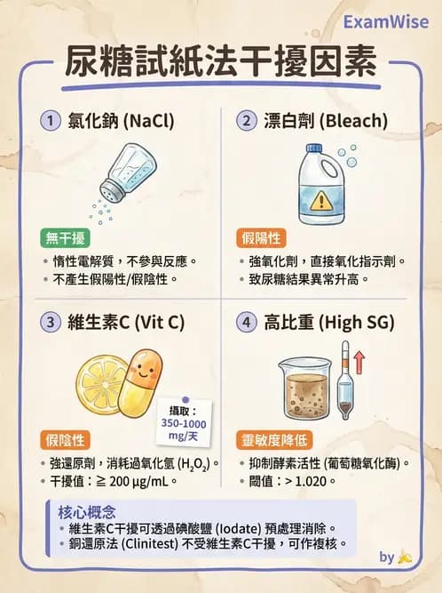 醫檢師 - 尿液化學檢驗 - AI 圖文解析預覽