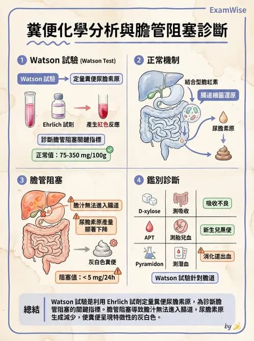 醫檢師 - 糞便常規檢查 - AI 圖文解析預覽