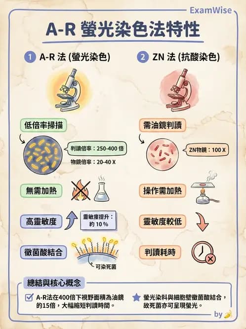 醫檢師 - 痰液一般鏡檢 - AI 圖文解析預覽