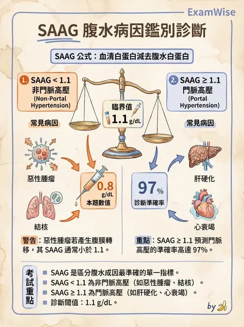 醫檢師 - 穿刺液檢查 - AI 圖文解析預覽