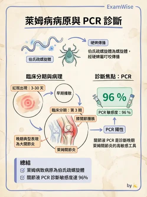 醫檢師 - 滑膜液檢查 - AI 圖文解析預覽