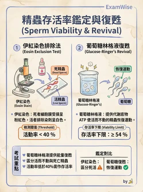 醫檢師 - 精液檢查 - AI 圖文解析預覽
