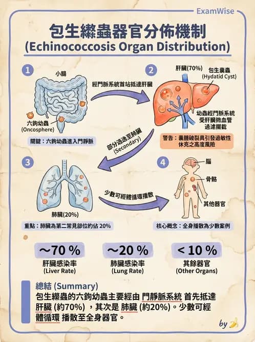 醫檢師 - 寄生蟲檢查-蠕蟲類 - AI 圖文解析預覽