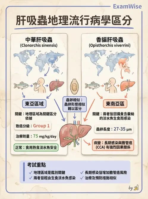 醫檢師 - 寄生蟲檢查-蠕蟲類 - AI 圖文解析預覽