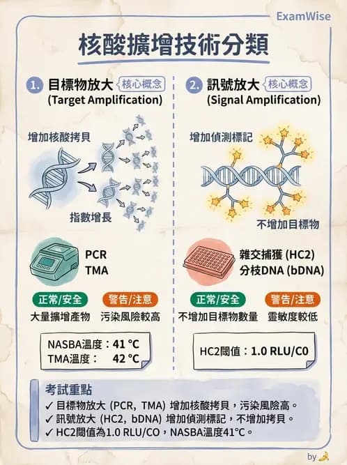 醫檢師 - 核酸擴增與萃取技術 - AI 圖文解析預覽