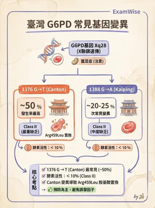 醫檢師 - 遺傳疾病基因檢測 - AI 圖文解析預覽