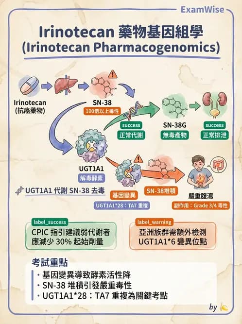 醫檢師 - 藥物相關基因檢測 - AI 圖文解析預覽