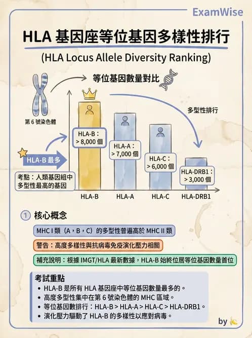 醫檢師 - 分子鑑定與應用技術 - AI 圖文解析預覽