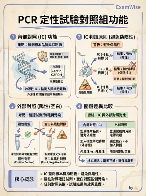 醫檢師 - 分子檢驗品質管理 - AI 圖文解析預覽