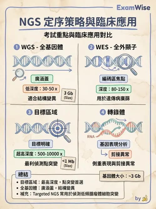 醫檢師 - 定序電泳與表觀分析 - AI 圖文解析預覽